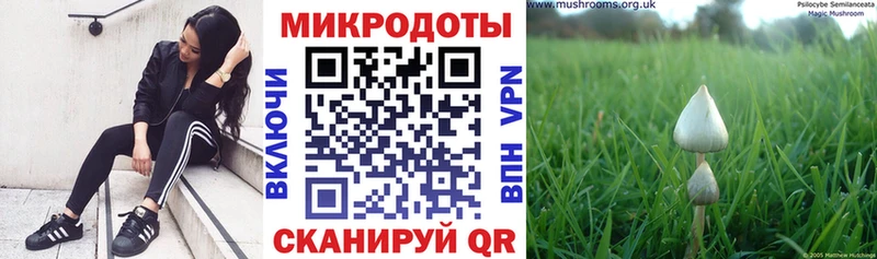 Псилоцибиновые грибы прущие грибы  Купить где  Свирск 